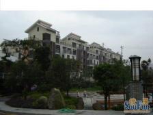 金科品质洋房 户型方正 环境优美