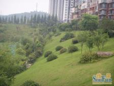 人和金科洋房顶跃+屋顶花园+阳光房,生活配套齐全