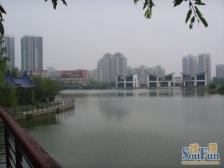 金科天湖美镇 3室2厅 东南