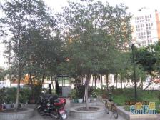 老城 永川时代公寓三房35.8万