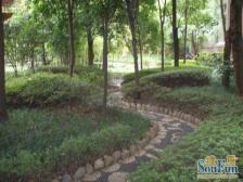 人和洋房 顶跃 带空中大露台 精装修,业主诚心出售。