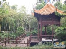 金科花园洋房,内圈位置,四房双卫,带露台,朝南