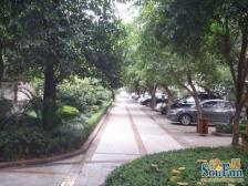 美社精装洋房 看房方便,成心卖