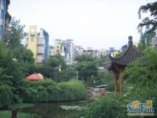 带屋顶花园,采光好,住家装修,近轻轨,安心出售