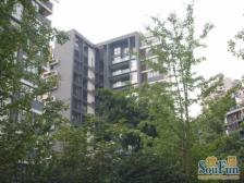 冉家坝 龙湖大城小院四房211万