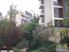 冉家坝 龙湖大城小院四房270万