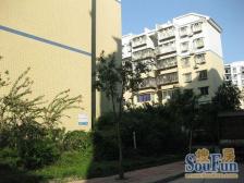 红光新村精装三房,带屋顶花园,看中庭,拎包入住