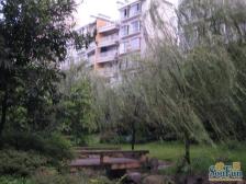 江南水乡 朝中庭3房 带露台 业主诚心出售