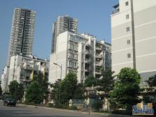 小区绿化大,户型方正,适合住家,房子保养的新。