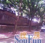 李家沱正街正规一室一厅,业主诚心出售