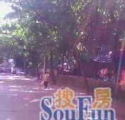 合建村 1室1厅 南