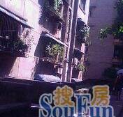 合建村 2室0厅 西南