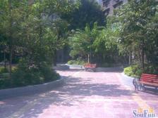 合建村 2室0厅 西南