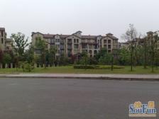 龙湖弗莱明戈 5室3厅 东南