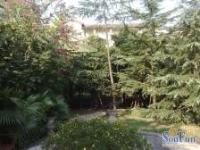 鸳鸯 龙湖弗莱明戈三房290万