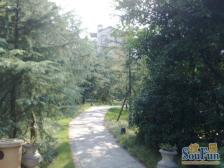 鸳鸯龙湖洋房,豪华装修,拎包入住