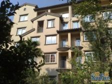 鸳鸯 龙湖弗莱明戈七房513万