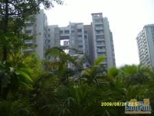 汽博中心 龙脊金山名都二房