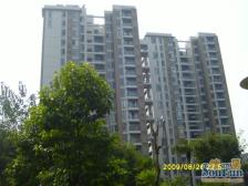 汽博双轻轨,精装修一线看保利视野好