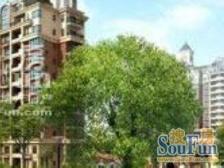 宝立公寓 1室1厅 南