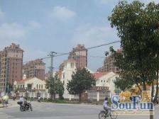 宝立公寓 1室1厅 南