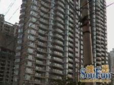 景观房,客厅朝南,现代风格,诚意出售