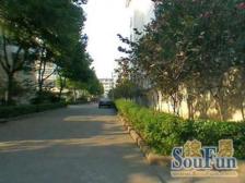 三林·银宏新村·2室·2厅