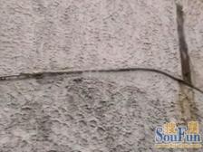 淮海路/常熟路,淮海大楼,网红电梯老公寓,静待有缘人