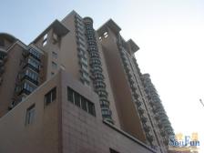 近地铁,入住快 家具全送,大平层 店长力推