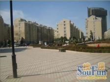 奉贤新城区域,南北,大2房,视野好,值