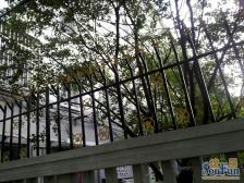 虹桥 · 虹一小区 · 2室 · 1厅