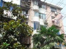 北新泾·虹园一村 全明户型 南北通透 随时看房!