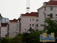 四平路2065弄 2室1厅 南