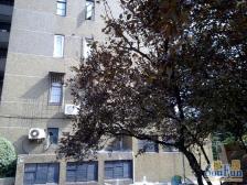 原始电梯房,全明大两房业,主诚意出售,看房方便