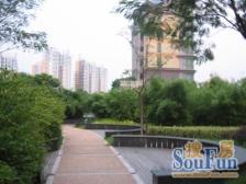 金桥繁华地段的联排边套别墅4房3卫有私家花园和车库有地铁公交