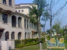 步梯洋房+甄选3楼,老少皆宜+南北通+有钥匙+款清交房