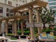 电梯全南两房正看东方明珠,视野好通风好价格可谈