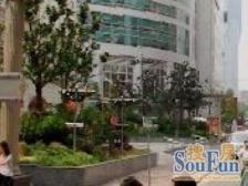 电梯全南两房正看东方明珠,视野好通风好价格可谈