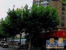 新普陀梅陇近地铁电梯房,全明大两房