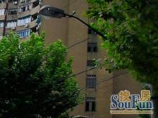 户型方正,电梯高区,近地铁,采光视野好