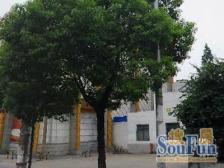 采光充足,居家装修,主卧朝南,小区中心位置