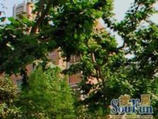 好楼层+近地铁+装修可以拎包入住+诚意出售