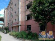 静安S S全明精装户型,店长推荐,交通方便近地铁