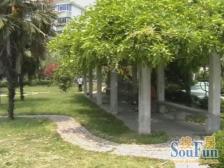 果园小区 1室1厅 南