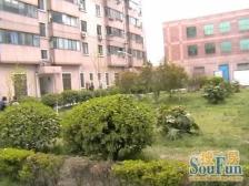 海欣北区 3室1厅 南 北