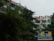 南北两房 厨卫全明 采光无何当 无嫌恶设施