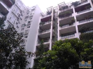 大华情融苑 5室2厅 南 北