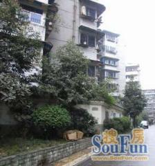 树蓓街42号3室1厅东南