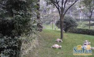 和贵馨城4室2厅南