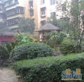 新天地民苑 1室1厅 东南